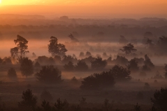 Zonsopkomst Sallandse Heuvelrug