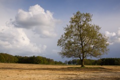 De Borkeld