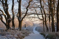 Doorkijkje Sallandse heuvelrug