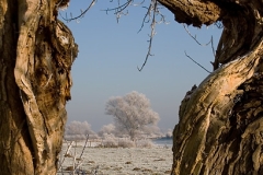 Doorkijkje IJssel landschap