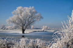 Winterlandsschap IJssel uiterwaarden