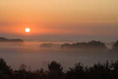 Zonsopkomst Sallandse Heuvelrug