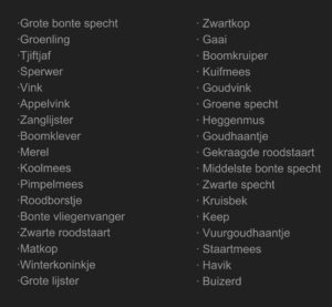 Fotohut 